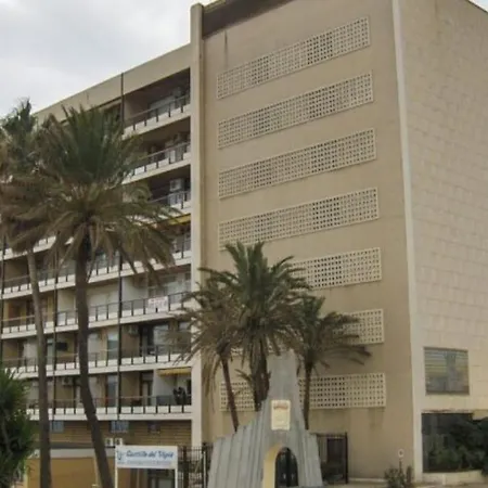 Newparadise